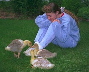 Feeding Waterfowl3